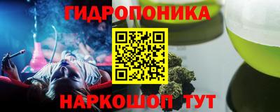 гашик Гусев
