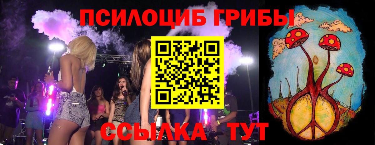 Киржач  наркота  Галлюциногенные грибы Psilocybe  Вход с VPN  Галлюциногенные грибы GOLDEN TEACHER 